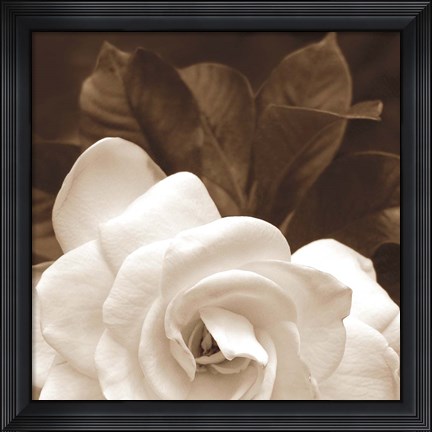 Framed Gardenia Garden Print