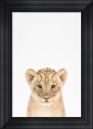 Framed Baby Lion Print