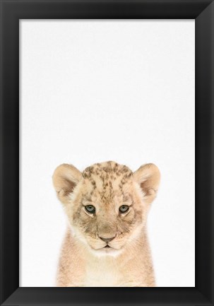 Framed Baby Lion Print