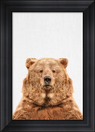 Framed Bear Print