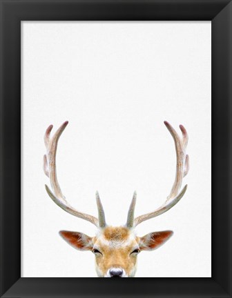 Framed Deer Print