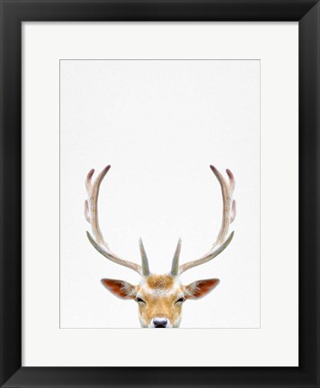Framed Deer Print