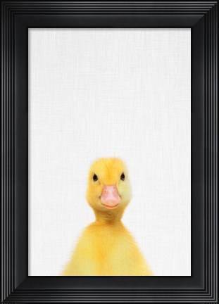 Framed Duck Print