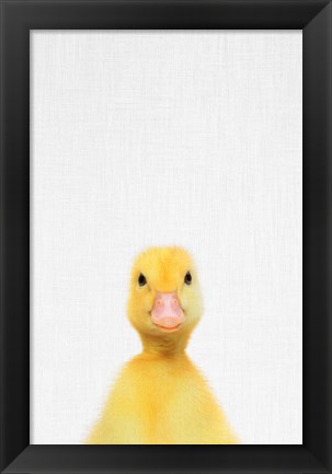 Framed Duck Print