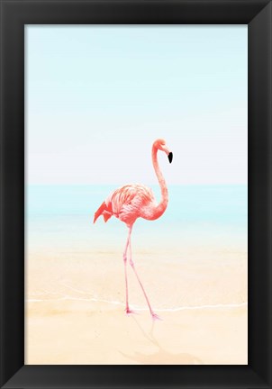 Framed Flamingo on the Beach II Print