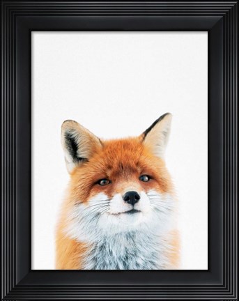 Framed Fox Print