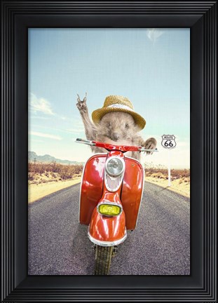 Framed Hedgehog Traveler Print