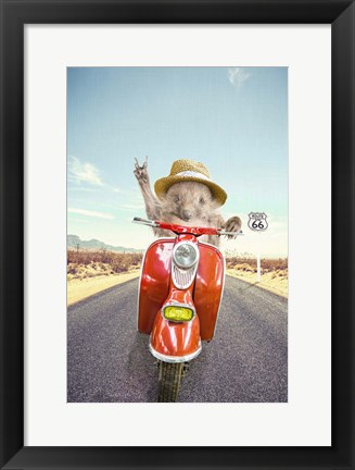 Framed Hedgehog Traveler Print