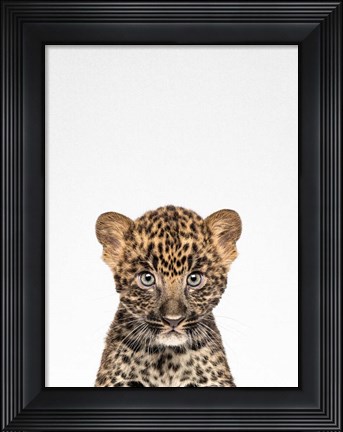 Framed Leopard Print