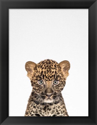 Framed Leopard Print