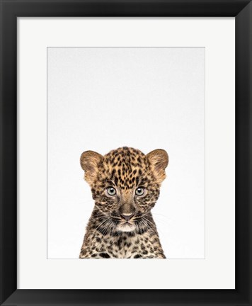 Framed Leopard Print