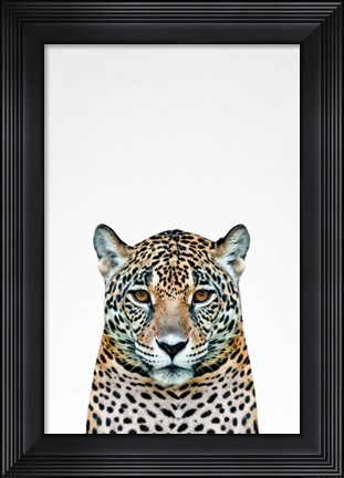 Framed Leopard II Print