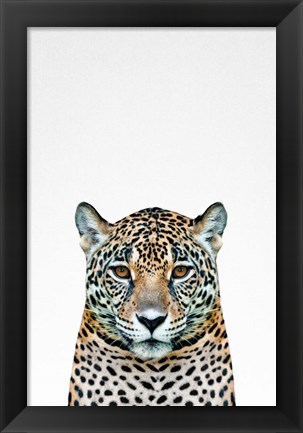 Framed Leopard II Print