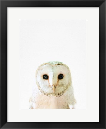 Framed Owl Print