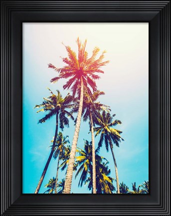 Framed Palms in the Sun Print