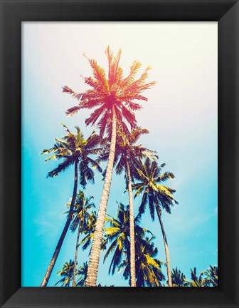 Framed Palms in the Sun Print