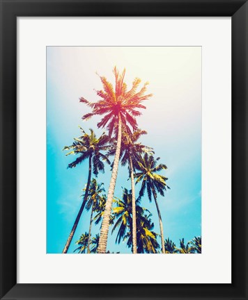 Framed Palms in the Sun Print