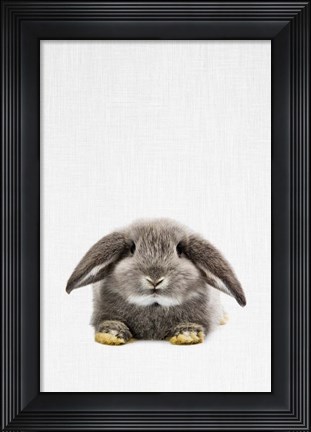 Framed Rabbit II Print