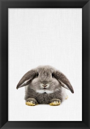 Framed Rabbit II Print