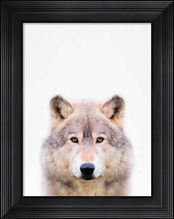 Framed Wolf Print