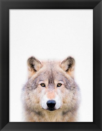 Framed Wolf Print