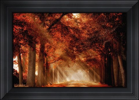 Framed Seat Not Taken Print