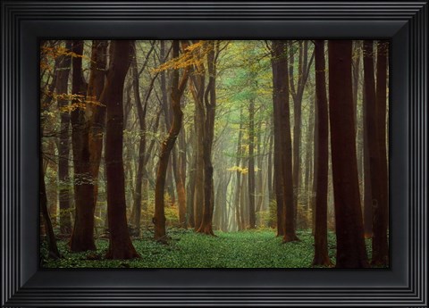 Framed Arriving Nowhere Print
