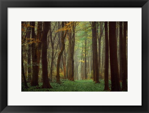 Framed Arriving Nowhere Print