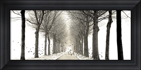 Framed Birds Print