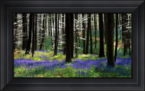 Framed Blue Silver Print