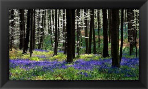 Framed Blue Silver Print