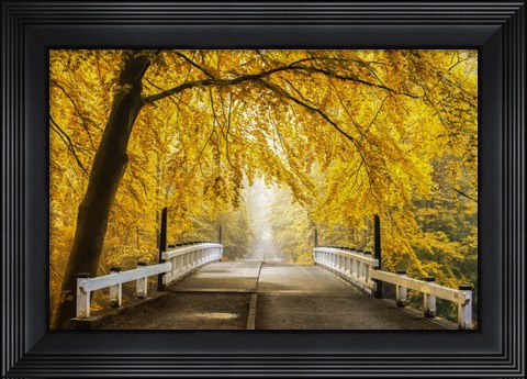 Framed Bridge to Fall III Print