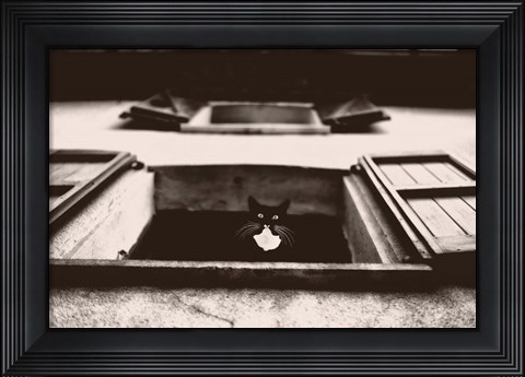 Framed Dali the Cat Print
