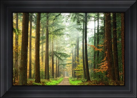 Framed Divide Print
