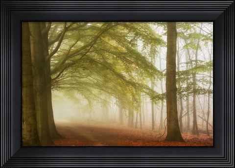 Framed Dreamwalkers Print
