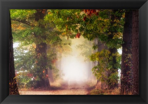 Framed Fall Colors Print