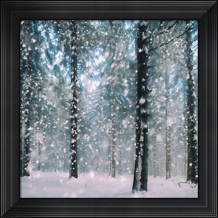 Framed Flakes Print