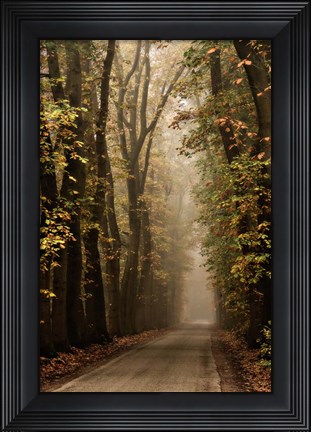 Framed Folia Print