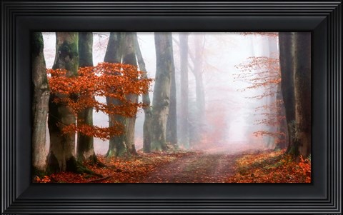 Framed Last Guide before the Mist Print