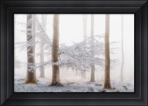 Framed Lishka Print