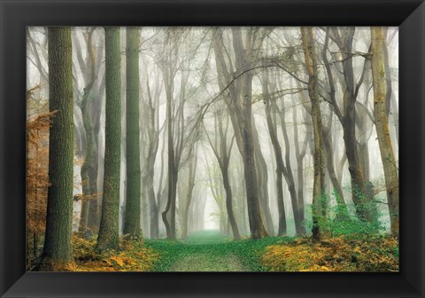 Framed Magic Is Everywhere Print