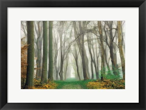 Framed Magic Is Everywhere Print