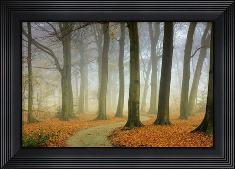 Framed Misty Twisty Print