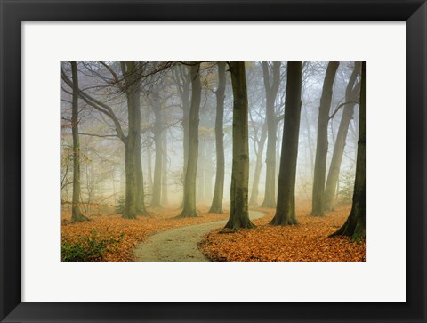 Framed Misty Twisty Print