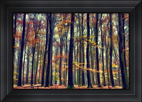 Framed Nature&#39;s Palette Print