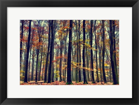 Framed Nature&#39;s Palette Print