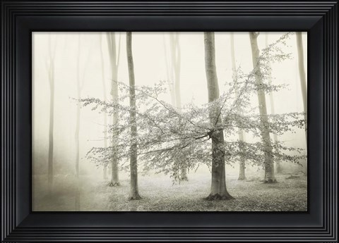 Framed Only for Unicorns Print