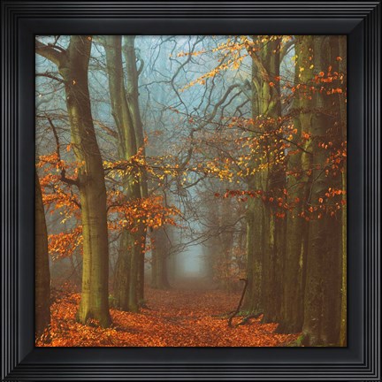 Framed Path of The Mystics Print