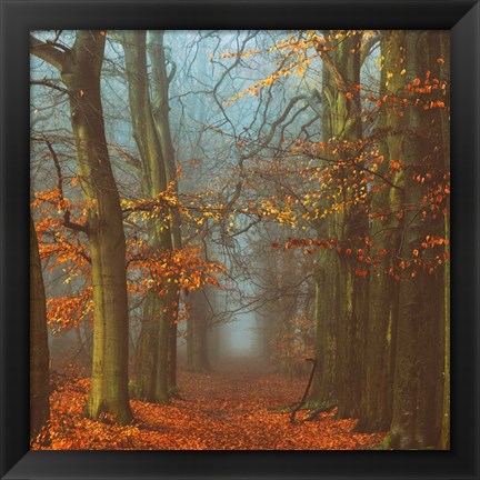 Framed Path of The Mystics Print