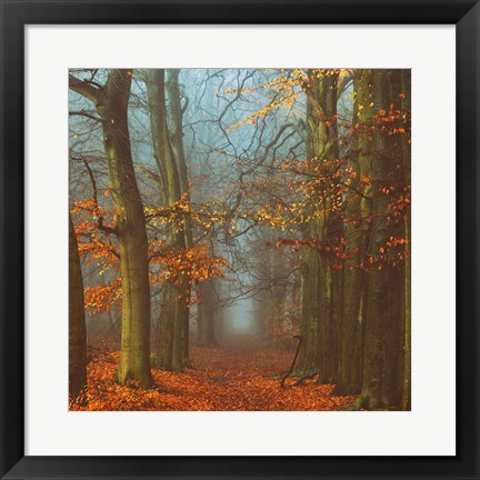 Framed Path of The Mystics Print